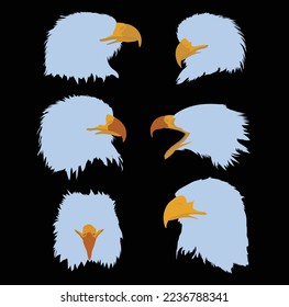 Hermoso arte vectorial de aves de cabeza de águila