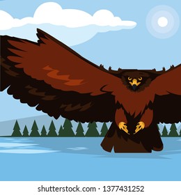 beautiful eagle in the lake majestic bird