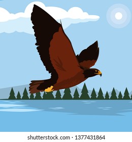 beautiful eagle in the lake majestic bird