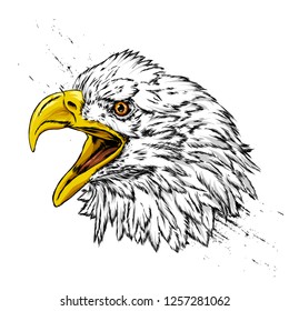 Beautiful eagle on the background of the American flag. Hawk or falcon. Predatory bird. America. Vector illustration for postcard or poster, print for clothes. USA.
