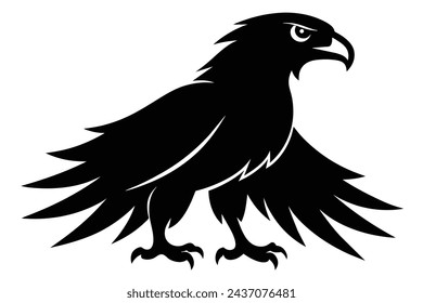 A beautiful eagle  Portrait  vector illustration artwork 