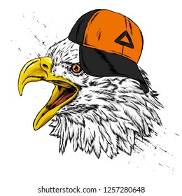 Beautiful eagle in a stylish cap. Hawk or falcon. Predatory bird. America. Vector illustration for postcard or poster, print for clothes. USA.