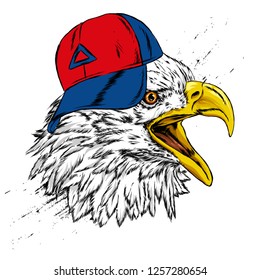 Beautiful eagle in a stylish cap. Hawk or falcon. Predatory bird. America. Vector illustration for postcard or poster, print for clothes. USA.
