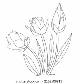 Beautiful Easy Flowers Coloring book. Hand drawn. Black and white.children,