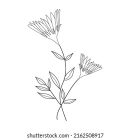 Beautiful Easy Flowers Coloring book. Hand drawn. Black and white.children,