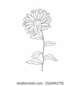 Beautiful Easy Flowers Coloring book. Hand drawn. Black and white Flowers.