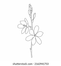 Beautiful Easy Flowers Coloring book. Hand drawn. Black and white Flowers.