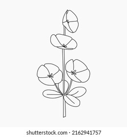 Beautiful Easy Flowers Coloring book. Hand drawn. Black and white Flowers.