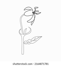 Beautiful Easy Flowers Coloring book For Preschool Children. Cute Educational Flowers Coloring Page For Kids