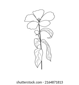 Beautiful Easy Flowers Coloring book For Preschool Children. Cute Educational Flowers Coloring Page For Kids
