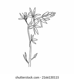 Beautiful Easy Flowers  Coloring book For Preschool Children. Cute Educational Flowers  Coloring Page For Kids.