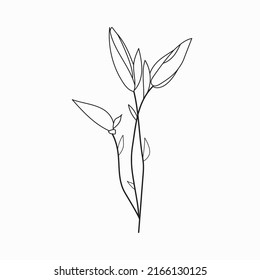 Beautiful Easy Flowers  Coloring book For Preschool Children. Cute Educational Flowers  Coloring Page For Kids.