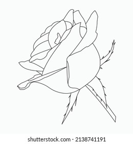 Beautiful Easy Roses Flowers Coloring book For Preschool Children. Cute Educational Roses Flowers Coloring Page For Kids