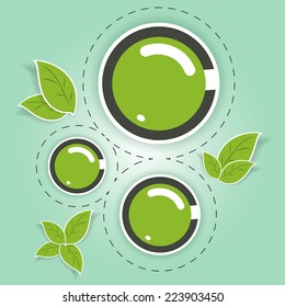 Beautiful eco friendly green circles with leaves of the tree. Vector illustration