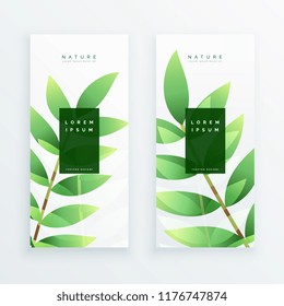 beautiful eco green leaves vertical banners