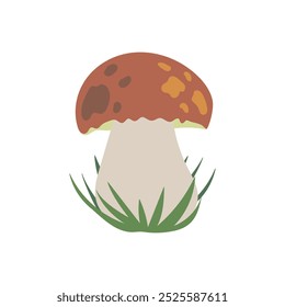 Hermosa seta comestible de porcini boletus edulis en hierba aislada sobre fondo blanco. Ilustración plana de Vector dibujado a mano, caza silenciosa de setas, símbolo de otoño