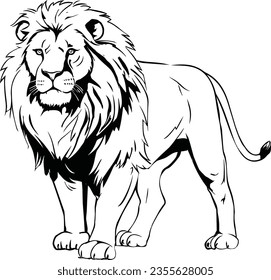 Beautiful editable black and white vector illustration of lion, For illustration, school project and tattoo use