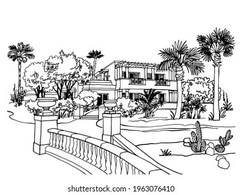 Beautiful Egypt landscape with palm trees. Hand drawn line ink sketch. Seaside holiday. Illustration on white.