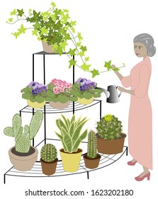 Beautiful elderly lady is watering houseplants.