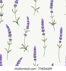 Hermoso y elegante molduras de lavanda sin fisuras 