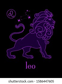 a beautiful and elegant leo zodiac sign vector