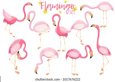 Beautiful elegant pink flamingos set, exotic tropical birds vector Illustrations