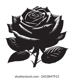Beautiful elegant rose vector illustration
