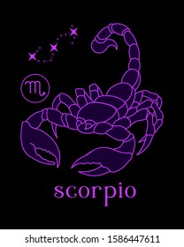 
a beautiful and elegant scorpio zodiac sign vector