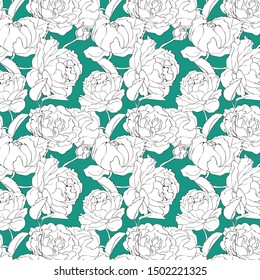Beautiful elegant vector pattern with floral elements and colour background