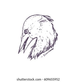 Beautiful emblem with bird head. Graphic, dark, stylish. Hand drawn illustration with raven. It can be used as an idea for a tattoo and printing on the T-shirts.