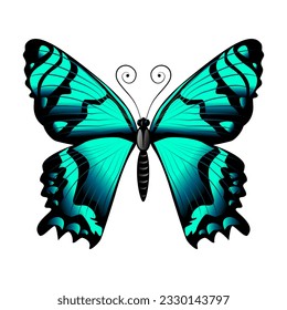 Beautiful emerald butterfly. Modern style. Vector illustration isolated on white background.