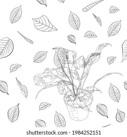 Beautiful endless gentle floral summer outline fashion pattern with potted houseplant on white background. Vector stock illustration.