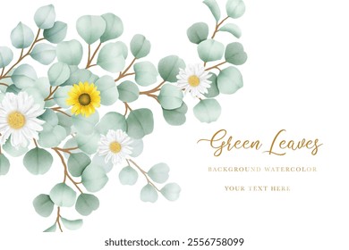 beautiful eucalyptus leaves background watercolor 