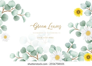 beautiful eucalyptus leaves background watercolor 