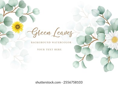 beautiful eucalyptus leaves background watercolor 