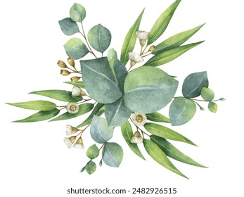 A beautiful eucalyptus leaves flower