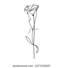 Beautiful eustoma flower on white background
