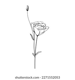 Hermosa flor eustoma sobre fondo blanco