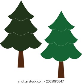 beautiful evergreen trees which are umbrella shaped commonly belongs to the gymnosperms and is used in holidays of December because this month is very cool and snowfall enhance beauty and pleasure