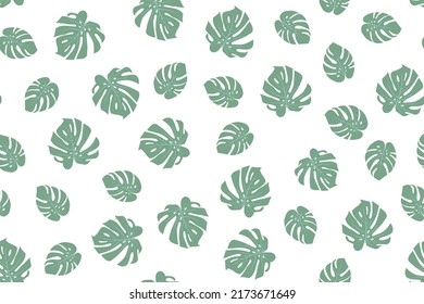 Beautiful exotic floral seamless pattern with light green monstera deliciosa leaves isolated on white background. 