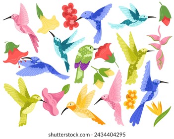 Beautiful exotic hummingbirds with flower blooms watercolor design set vector illustration. Tropical colibri bird humming around floral blossoms. Nature and wildlife romantic design elements