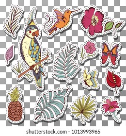 Beautiful Exotic tropical birds for illustrated floral of parrots, hummingbird, pineapple transparent background vector card set.