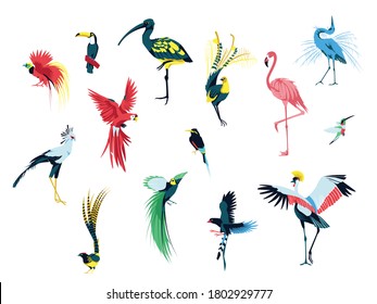 Beautiful exotic tropical birds set. Flamingo, Heron, Toucan,Hummingbird, Parrot. Tropical nature wildlife cartoon vector illustration isolated on white background