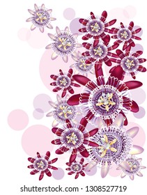 Beautiful exotic tropical climber passiflora