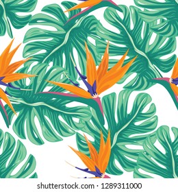 Beautiful exotic tropical seamless pattern with flowers and leaves on white background