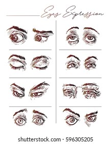 Beautiful expression eyes set. open and closed, Vector illustration.