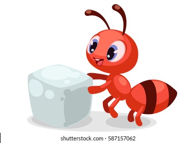 Beautiful expressions on ant face after watching a sugar cube