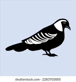 A Beautiful and Eye catching Pigeons line art in Black and white