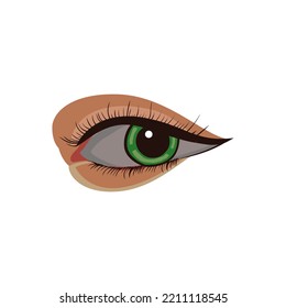 Hermosa ilustración de arte de vector ocular aislada en fondo blanco