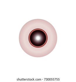 Beautiful eyes